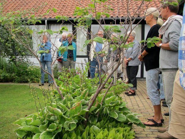 havevandring-2013-08-18201310061257176510